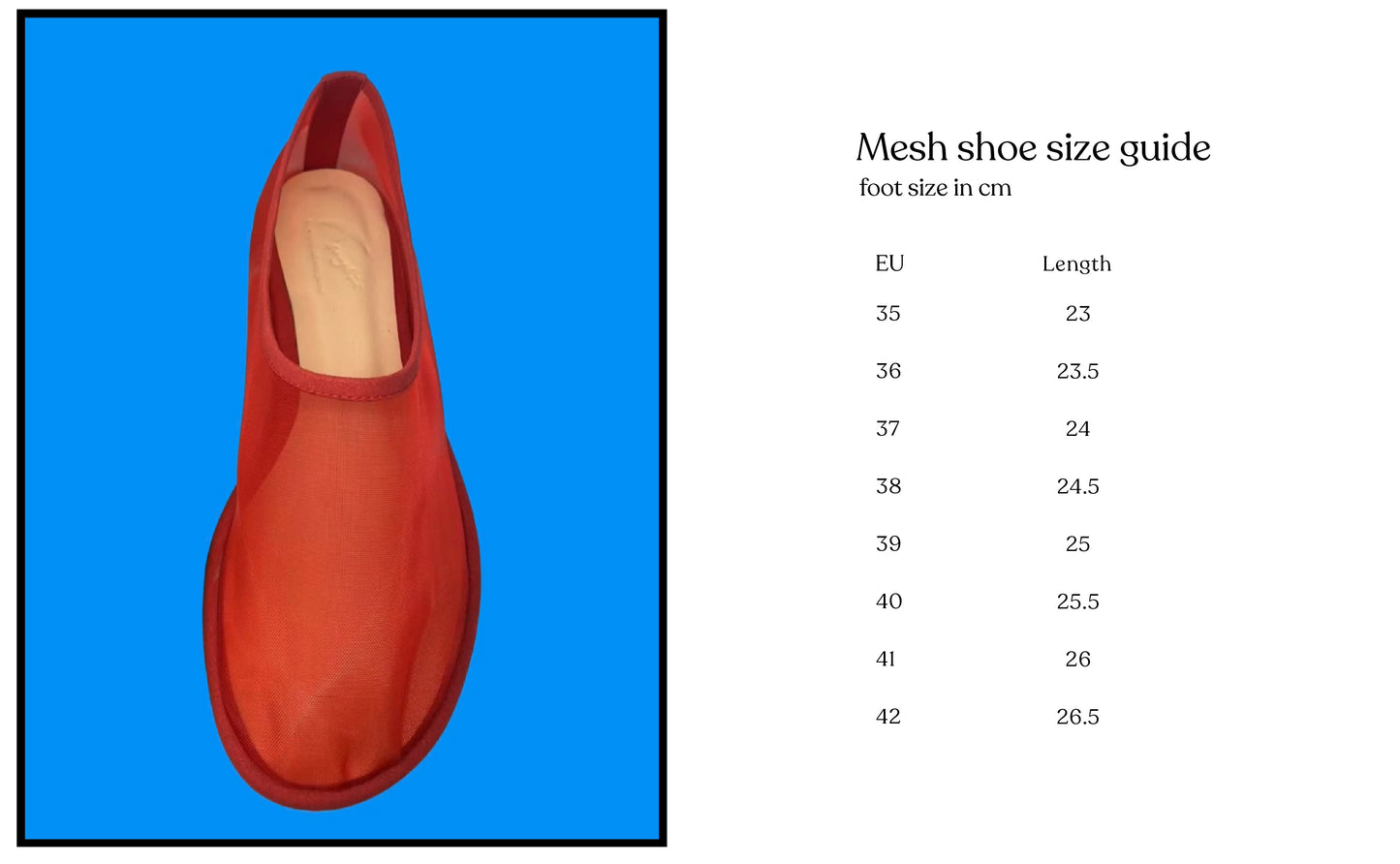 Mesh shoe